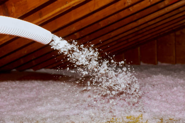 Best Insulation Removal  in Spring Valley, AZ