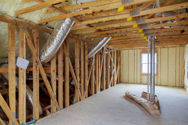 Best Insulation Inspection Services  in Spring Valley, AZ