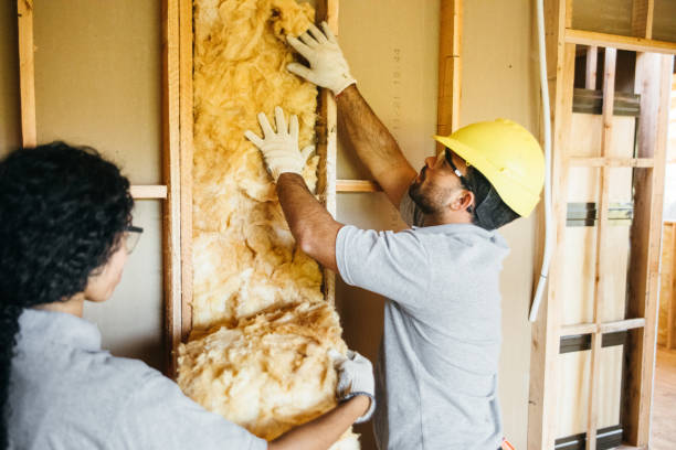 Best Insulation for New Construction  in Spring Valley, AZ