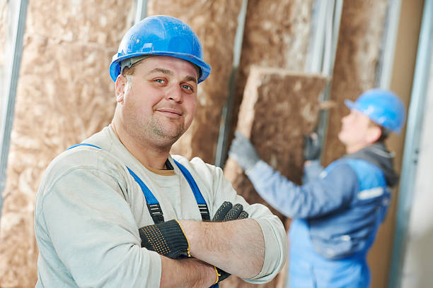 Best Fiberglass Insulation  in Spring Valley, AZ