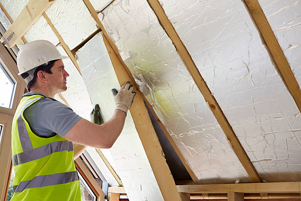 Best Spray Foam Insulation  in Spring Valley, AZ