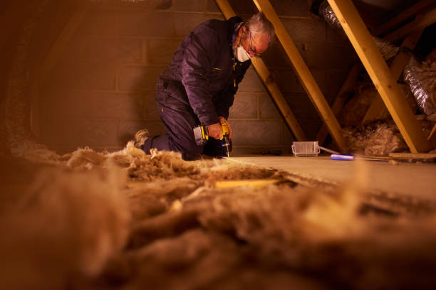 Best Professional Insulation Contractor  in Spring Valley, AZ